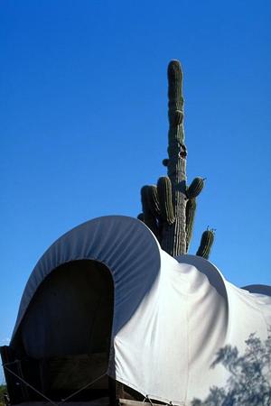 東横INN群馬太田駅南口の魅力と利用ガイド｜快適なビジネス・観光拠点としての特徴