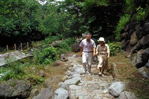 宮崎市で快適な滞在を実現！東横INN宮崎中央通の魅力と特徴