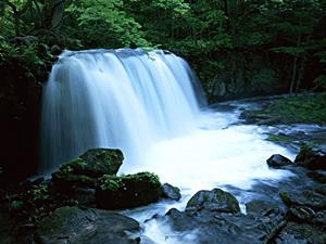 静岡の絶品日本料理を堪能できる中島屋グランドホテルの「四季」レストラン詳細ガイド