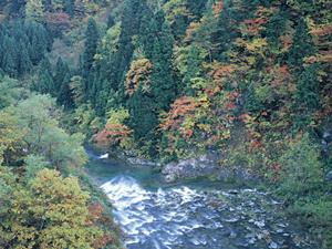 志木駅東口徒歩3分の格安ビジネスホテル|東横INN志木駅東口の予約と特徴