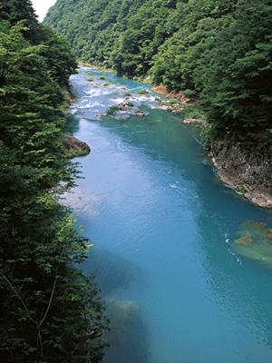 山口県岩国市にあるビジネスホテルの【東横INN岩国駅西口】完全ガイド ? 快適な宿泊体験と便利なアクセスを提供