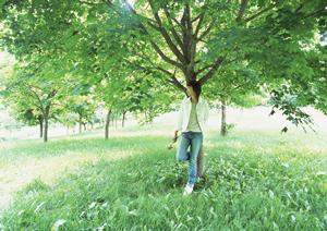 家族旅行に最適!石垣島でのレンタカー利用ガイドとおすすめスポット紹介