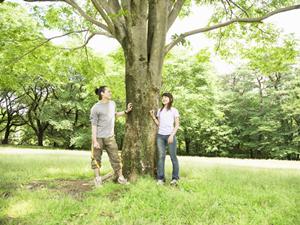 雄大な北アルプスの景色を楽しめる温泉宿