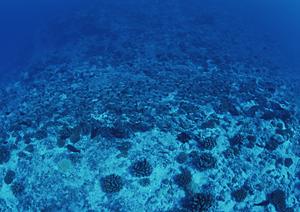 熊本市中心部に位置する快適なビジネスホテル|東横INN熊本新市街の魅力と詳細情報