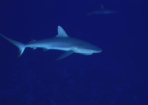 長野県上田市のビジネスホテル「東横INN上田駅前」の魅力と詳細情報