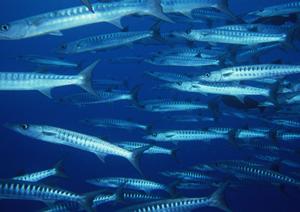 宇都宮駅前のビジネスホテルの決定版|東横INN宇都宮駅前2の魅力と便利なサービス