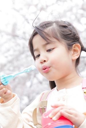 家族全員が楽しめる!石垣島アクティビティ完全ガイド:自然体験から思い出作りまで