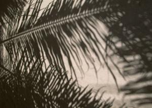 家族で楽しむ下田市のホテルガイド:温泉と地元グルメを満喫するためのおすすめ宿泊施設