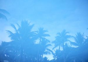 東横イン燕三条駅前:ビジネス・観光に最適な快適な宿泊体験を提供する新潟県燕市のホテル