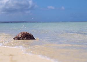 東京都秋川駅前のビジネスホテル【東横INN東京秋川駅北口】の魅力と詳細情報