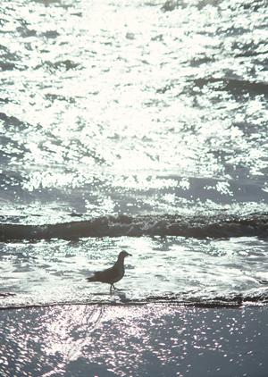大阪市を訪れるビジネス・観光客必見!東横INN大阪JR野田駅前の魅力と詳細情報