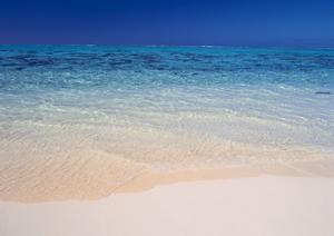 横手駅前徒歩30秒の快適ステイを実現!横手プラザホテルの魅力と特徴