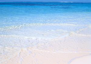 【公式】東横INN品川旗の台駅南口|東京都品川区のビジネスホテル予約サイト