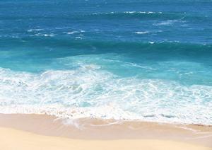 石垣島でのシュノーケリングについて