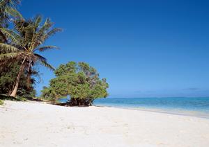 加賀百万石のおひざ元で金箔貼り体験を