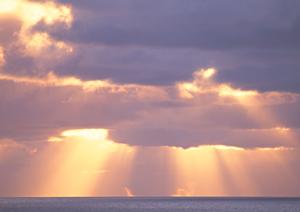 別府温泉 竹と椿のお宿 花べっぷ – 心に残るおもてなしの宿