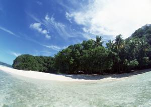 ダイビングの魅力を体感できる海です