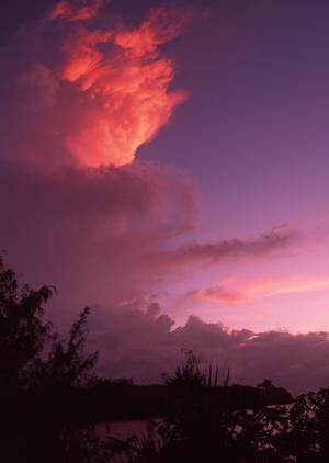 鳥取駅南口から徒歩2分の快適ビジネスホテル|東横INN鳥取駅南口で泊まるメリットと概要