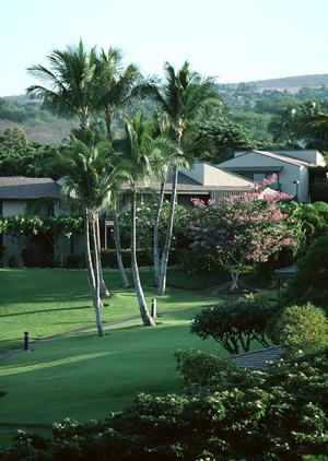 屋形船や釣り船なら東京の深川吉野屋