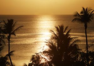 最低でも10日間は必要になります