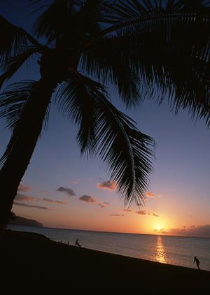 伊勢市駅から徒歩ですぐ!快適な滞在を実現する【東横INN伊勢市駅】の魅力と施設情報