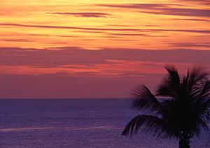 静岡県沼津市にあるビジネスホテル「東横INN富士山沼津駅北口1」の魅力と詳細情報