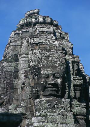 フェリーで移動をするときの知識について