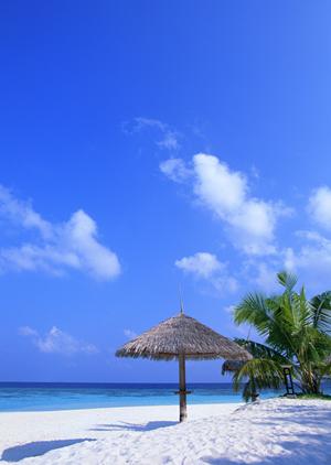 石垣島で星空観賞と自然体験を満喫！経験豊富なガイドと一緒に人気アクティビティを予約しよう