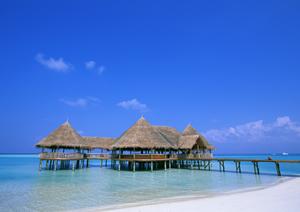 小さい子供も楽しめる東京の屋形船