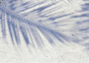 伊豆大島ツアー宿泊プランについて
