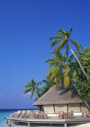 神奈川県茅ヶ崎駅から徒歩わずか4分の快適ビジネスホテル:東横INN湘南茅ヶ崎駅北口の魅力と詳細情報