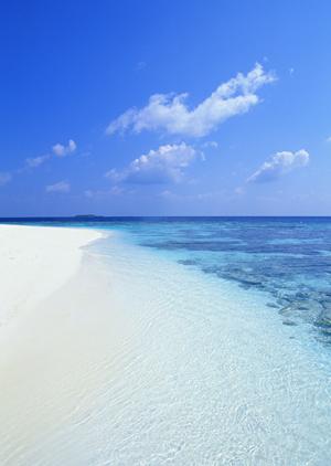 東横INN三河安城駅新幹線南口2|愛知県安城市のビジネスホテル詳細と魅力紹介