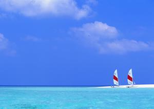 地域活性化を支えるPFI運営会社の役割と成功事例徹底解説