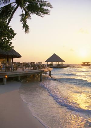 東京都大田区・蒲田駅近くのビジネスホテル紹介|東横INN蒲田1の魅力と概要