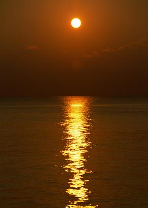 【公式】東横INN日本橋税務署前|東京都中央区の便利なビジネスホテル