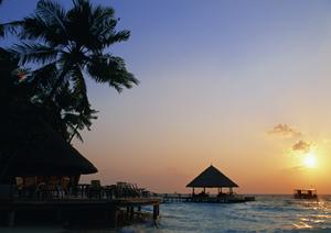 羽田空港アクセス抜群!東横イン羽田空港1の魅力と特徴