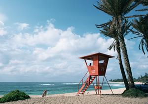 石垣島で自然満喫！星空観察やアクティビティガイドとの体験を楽しむ方法