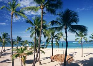山梨県甲府市のビジネスホテル【東横INN甲府駅南口1】|快適な宿泊と便利なアクセスを提供