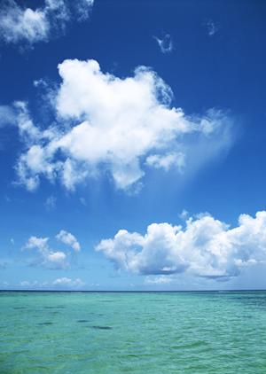 JR九州ホテル鹿児島の魅力と利用ガイド