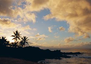 思い出のひと時を過ごしませんか